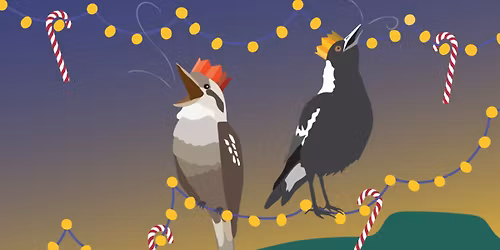 Carols in MacCabe Park