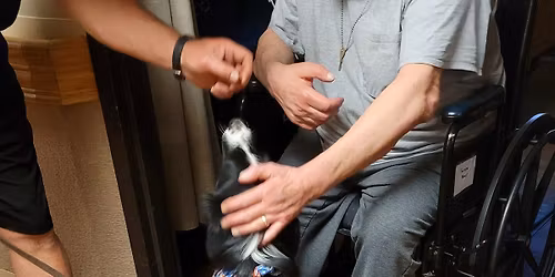 Therapy Dog Training - Evaluation and Test 