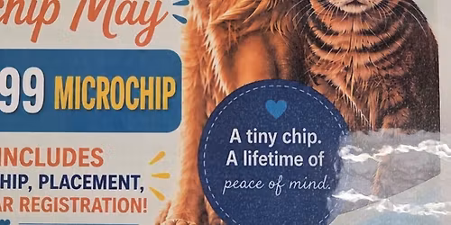 Chip, Treat & Repeat!