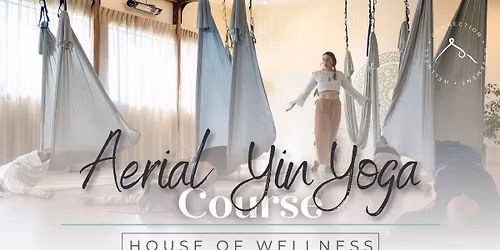 Aerial Yin Training