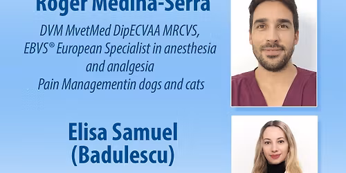 10 Years Vets on The Balkans Conference