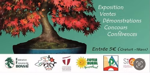 Congr\u00e8s National FFBonsai