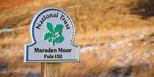 Guided Walk: Winter Stroll