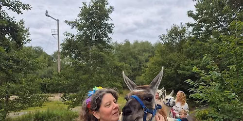 Festival Friday: Llama Love! 