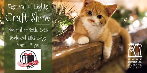 45th Annual Festival of Lights Craft Show
