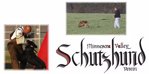 MVSV Spring 2026 Trial