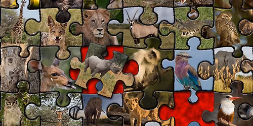 "The Odd Piece" i Kronhuset i ett samskapande med Konstrundan \u00d6stra G\u00f6teborg & Tillsammansfestivalen