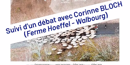 \ud83c\udfac Cin\u00e9-D\u00e9bat \/ Transmettre 