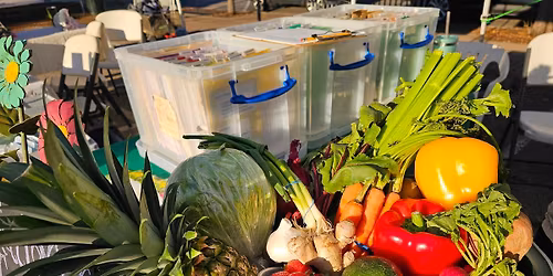 Master Gardeners at Waco Downtown Farmers Market: Garden to Table (and Back Again) 