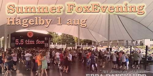 Summer FoxEvening \u2013 1 aug