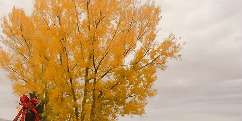 Christmas Card Minis