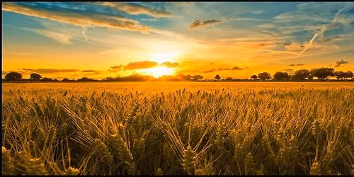 Easter Sunrise Service