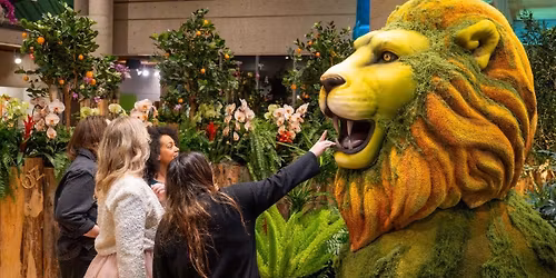 The Wonderful Wizard of Oz