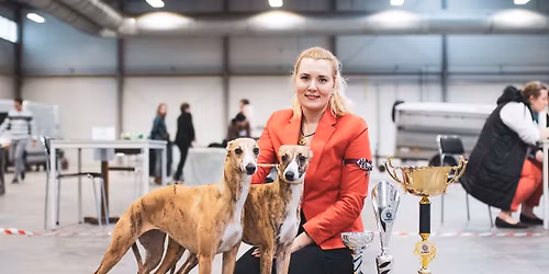 HANDLING - 4 HODINOV\u00dd WORKSHOP PRAHA