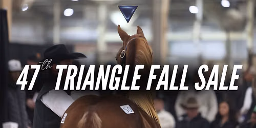 2026 Triangle Fall Sale