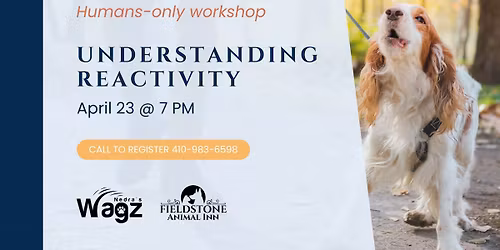 Human Workshop: Understanding Reactivity