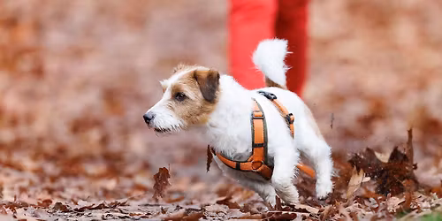 workshop JACHTGEDRAG onder CONTROLE