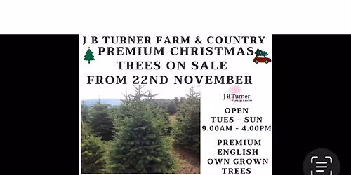 Premium Christmas Trees 