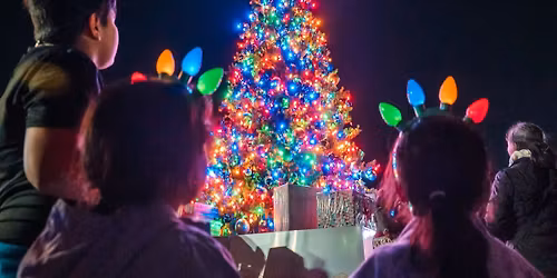 NEW - Downtown Holiday Tree Lighting
