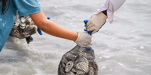 FULL - Sink Your Shucks Community Oyster Reef Restoration Volunteer Event