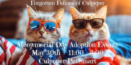 Forgotten Felines' Meowmorial Adoption Event