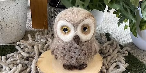 Needle Felted Ollie the Owl Workshop