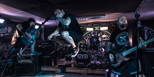 DON GATTO LIVE HEILE WELT