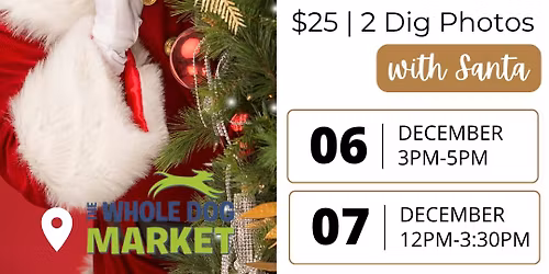 Sugarbelle Holiday Photos with Santa