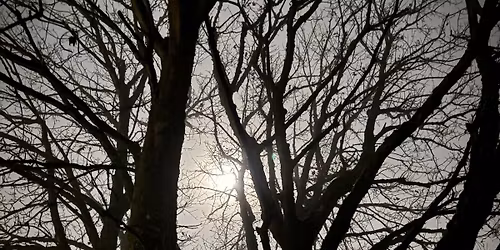 Somatic Conscious Connected Breathwork Series