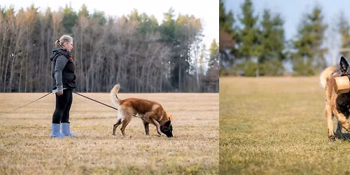 Mini Ob\u00f3z KO Obedience kontra Tropienie