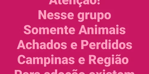 Bingo beneficente da causa animal