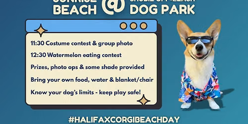 Halifax Corgi Beach Day 2026