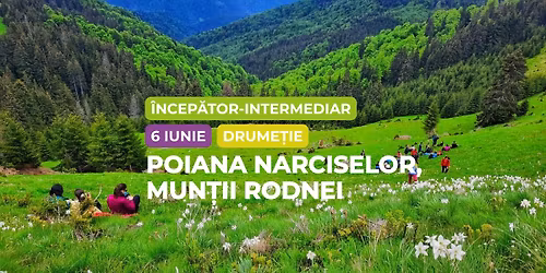 Drume\u021bi \u00eencep\u0103tor - intermediar: Poiana Narciselor, Mun\u021bii Rodnei