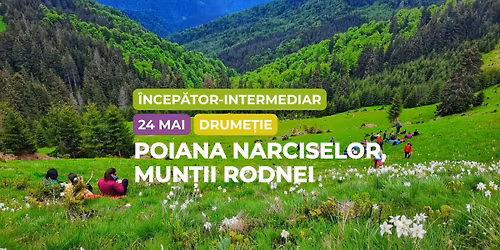 Drume\u021bi \u00eencep\u0103tor - intermediar: Poiana Narciselor, Mun\u021bii Rodnei