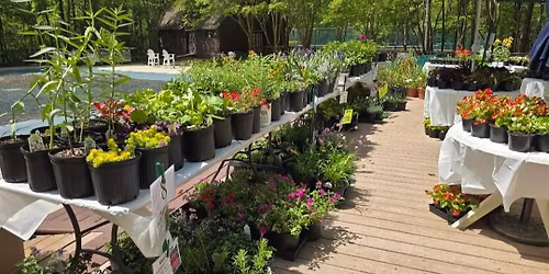 River Walk Garden Club 30th Annual Spring Plant Sale