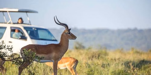 Nairobi Wildlife Experience: Elephant Orphanage, Giraffe Centre & Safari