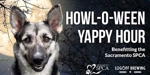 Howl-o-Ween Happy Hour