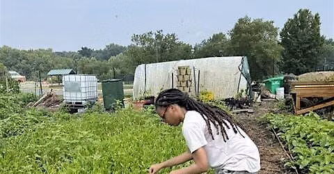 A Day At the Farm - A Day in the Farm: Food as Medicine At Asawana Farms