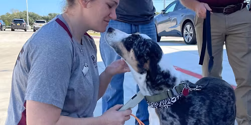 FREE Microchip Event