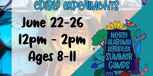 Kitchen Camp: Bean Sprouts