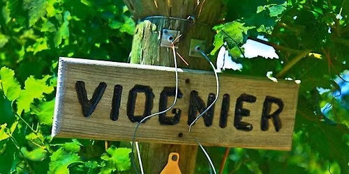 Yay for Viognier! - Varietal Focus Tasting Masterclass