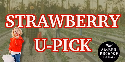 Strawberry U-Pick