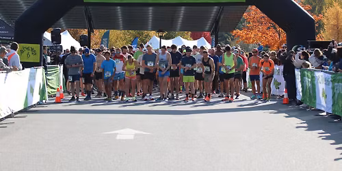 Heady Trotter Four Miler