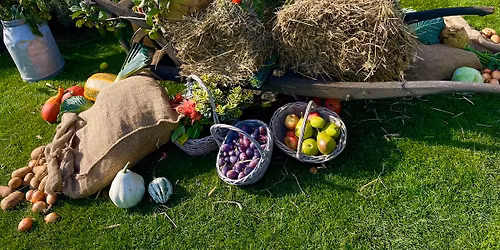 29. \u00dcckeritzer Kartoffelfest