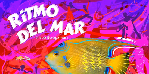 Ritmo del Mar