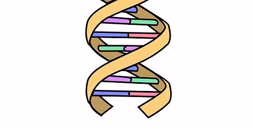 Organize Your DNA Matches