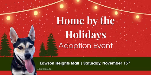 Home By The Holidays 