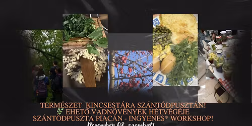 A term\u00e9szet Kincsest\u00e1ra - \ud83c\udf3f Ehet\u0151 vadn\u00f6v\u00e9nyek h\u00e9tv\u00e9g\u00e9je Sz\u00e1nt\u00f3dpuszta piac\u00e1n - ingyenes workshop!
