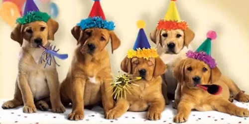 November 2025 Puppy PREP Course