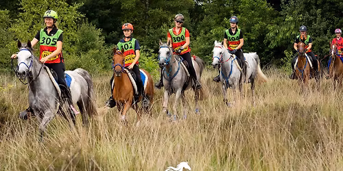 Endurance Tilburg 6 juni 2026